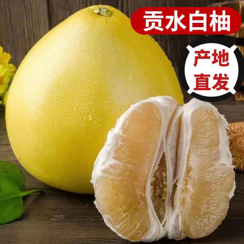 湖北恩施宣恩贡水白柚