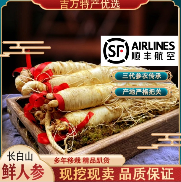 2号【优质一斤装】长白山泡酒煲汤送礼新鲜人参产地直发现挖现售