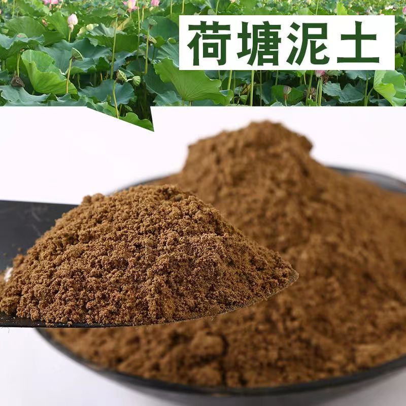 天然荷塘泥园土水培碗莲淤泥菜田园土水生花卉生长泥土种菜土栽种