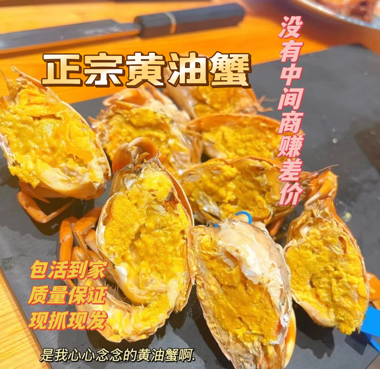 没有中间商差价正宗黄油蟹黄油奄仔蟹蟹膏油蟹原产地直发