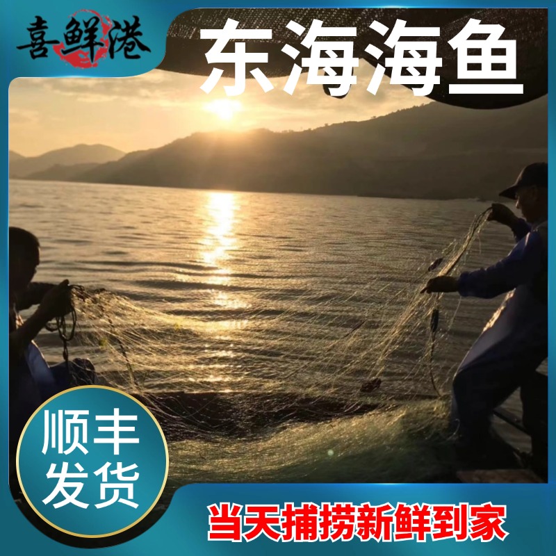 东海海鱼海鲜现场捕捞包网
