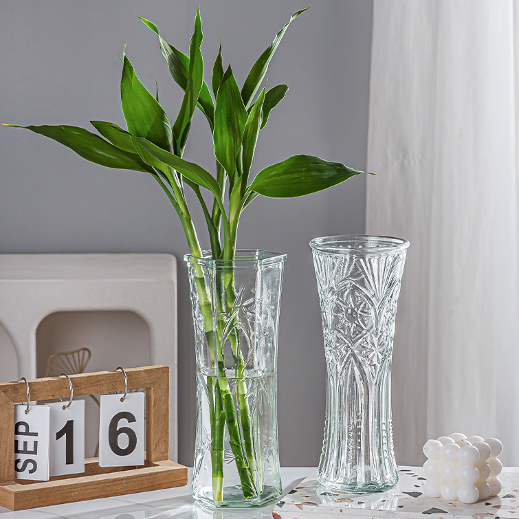 【拍一发二】超大号透明水培花瓶富贵竹百合玻璃瓶鲜花花瓶