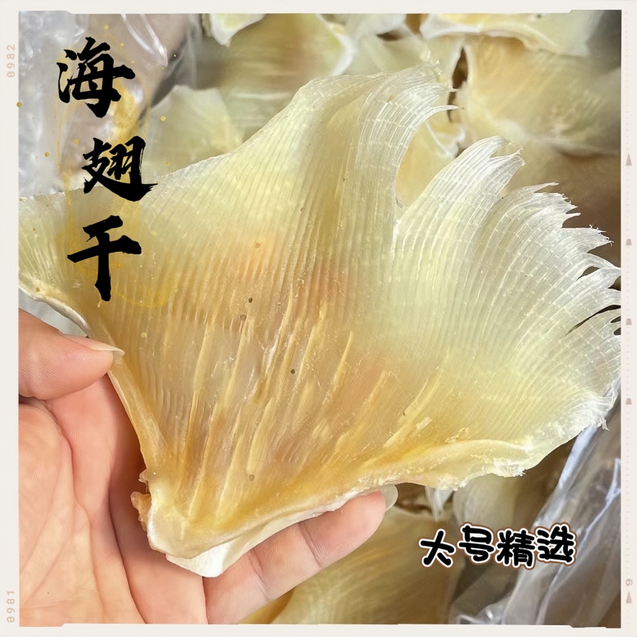 大号精选海翅干 浦鱼软骨翅 肉质新鲜 海产干货 250g包邮