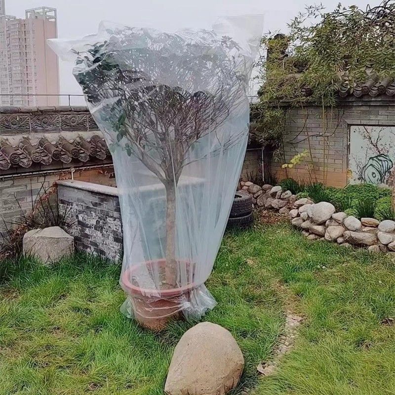 绿植物防冻保温袋塑料膜花卉盆栽过冬保护罩树木防寒布防尘袋透明