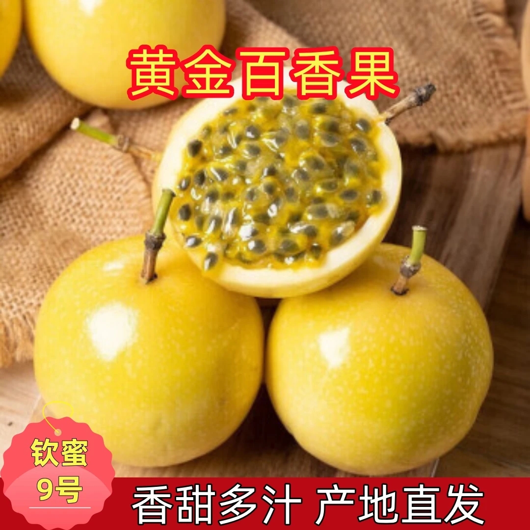 【放皱更甜】广西钦蜜9号黄金百香果香甜多汁17枚50-60g送开果器