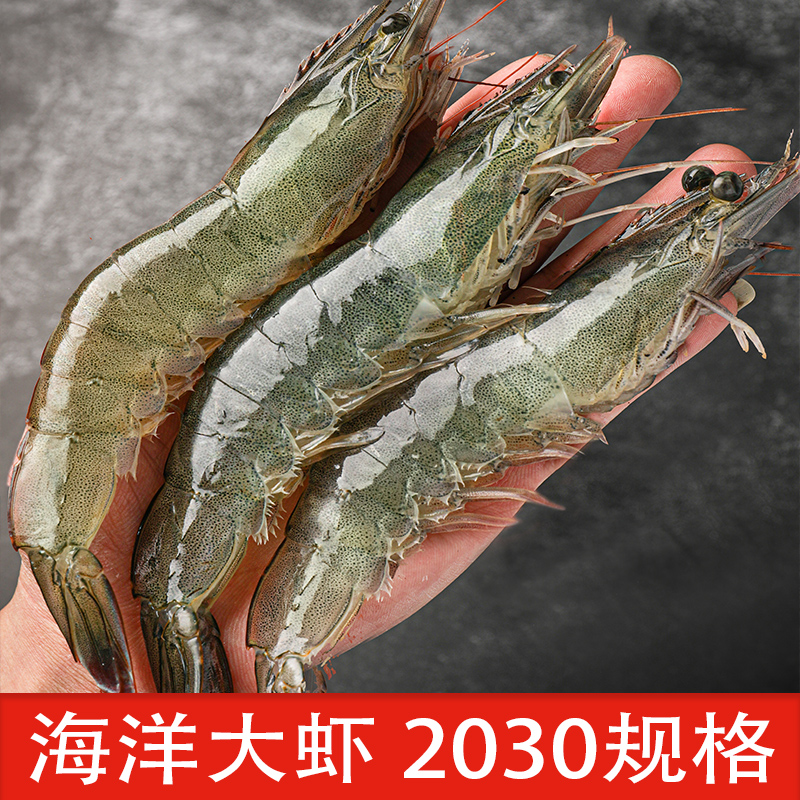 青岛 20/30规格净大虾3斤约35/45只鲜活急冻海水白对虾青虾
