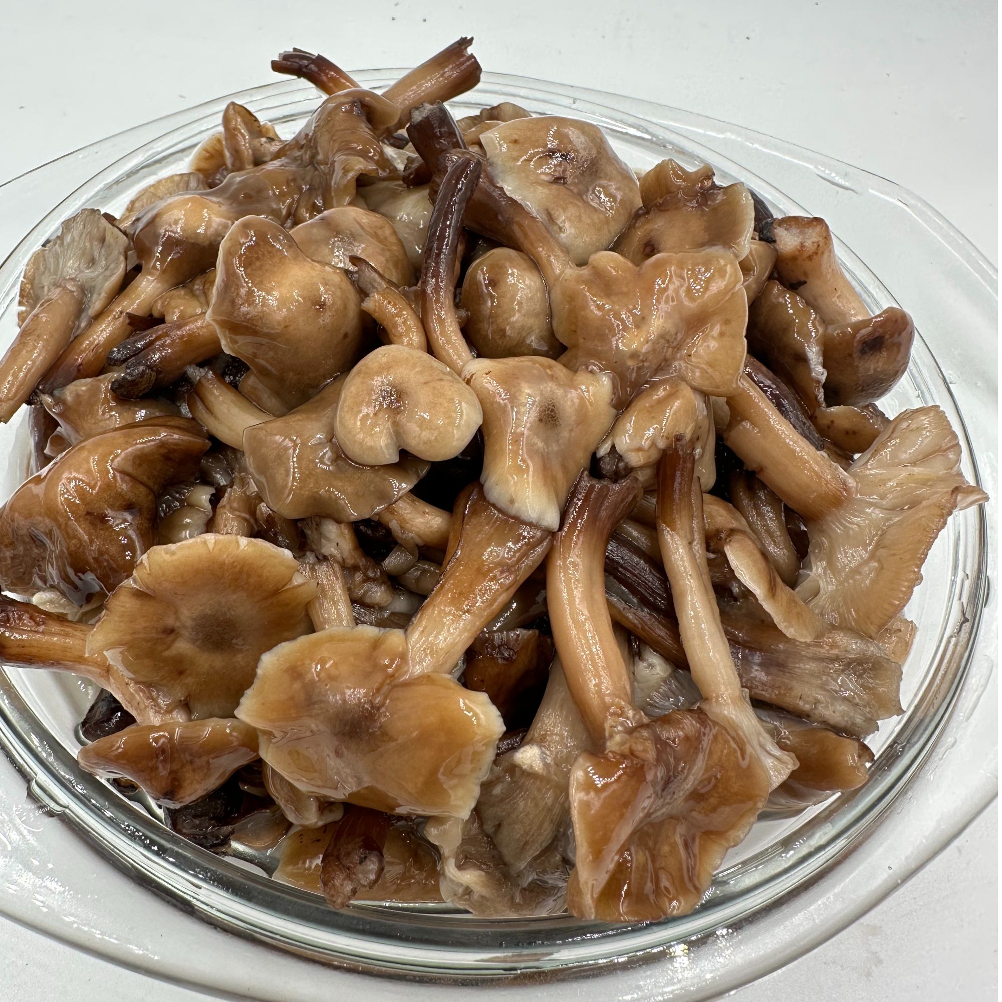 榛蘑 腌制榛蘑 东北特产 500克*2罐共二斤腌渍榛蘑