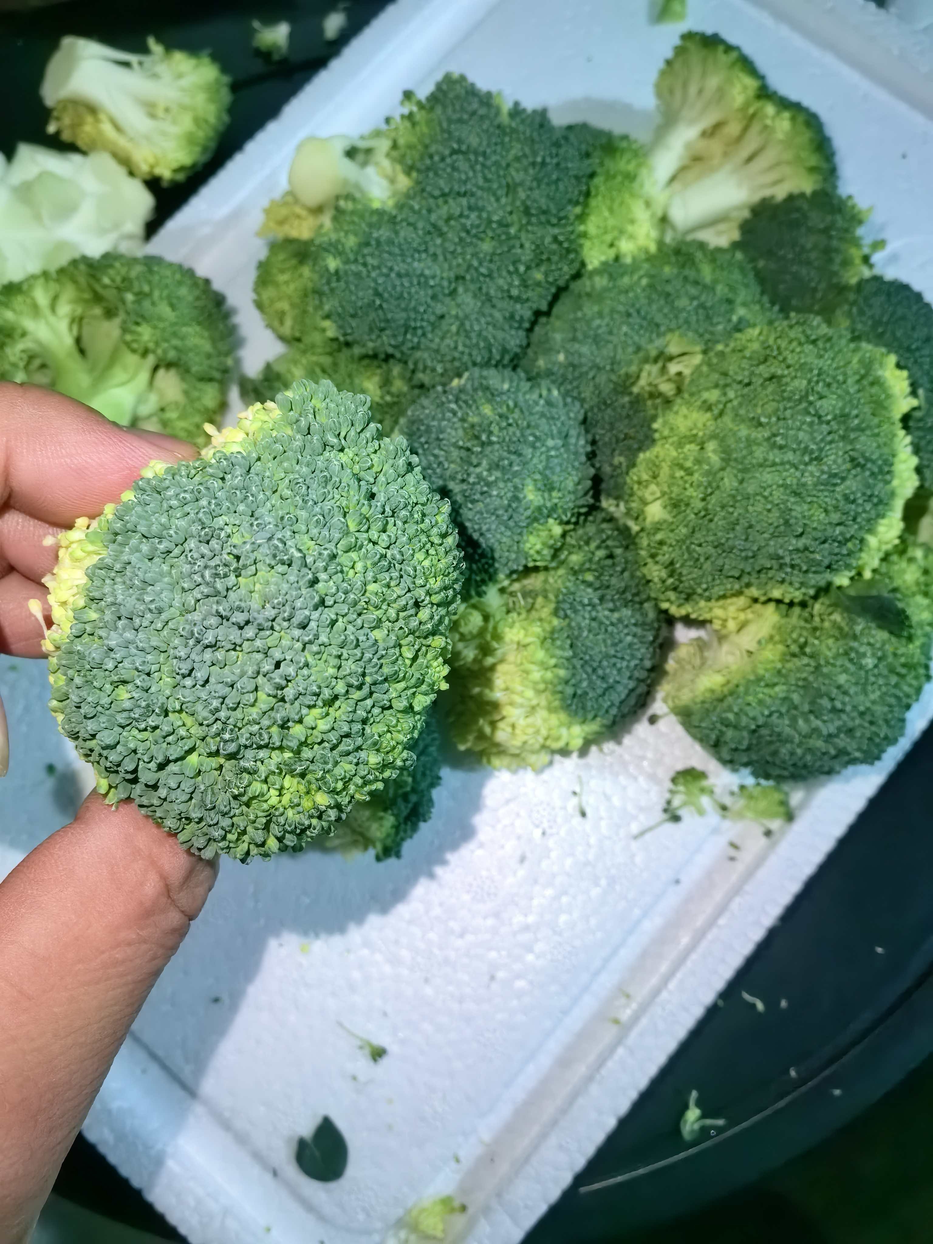 农家自种新鲜西兰花小球花鲜甜可口现摘现发