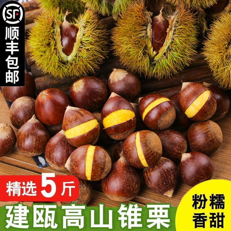 2025年建瓯锥栗新鲜生板栗高山圆栗农家现摘带壳油栗子1/2/3/5斤