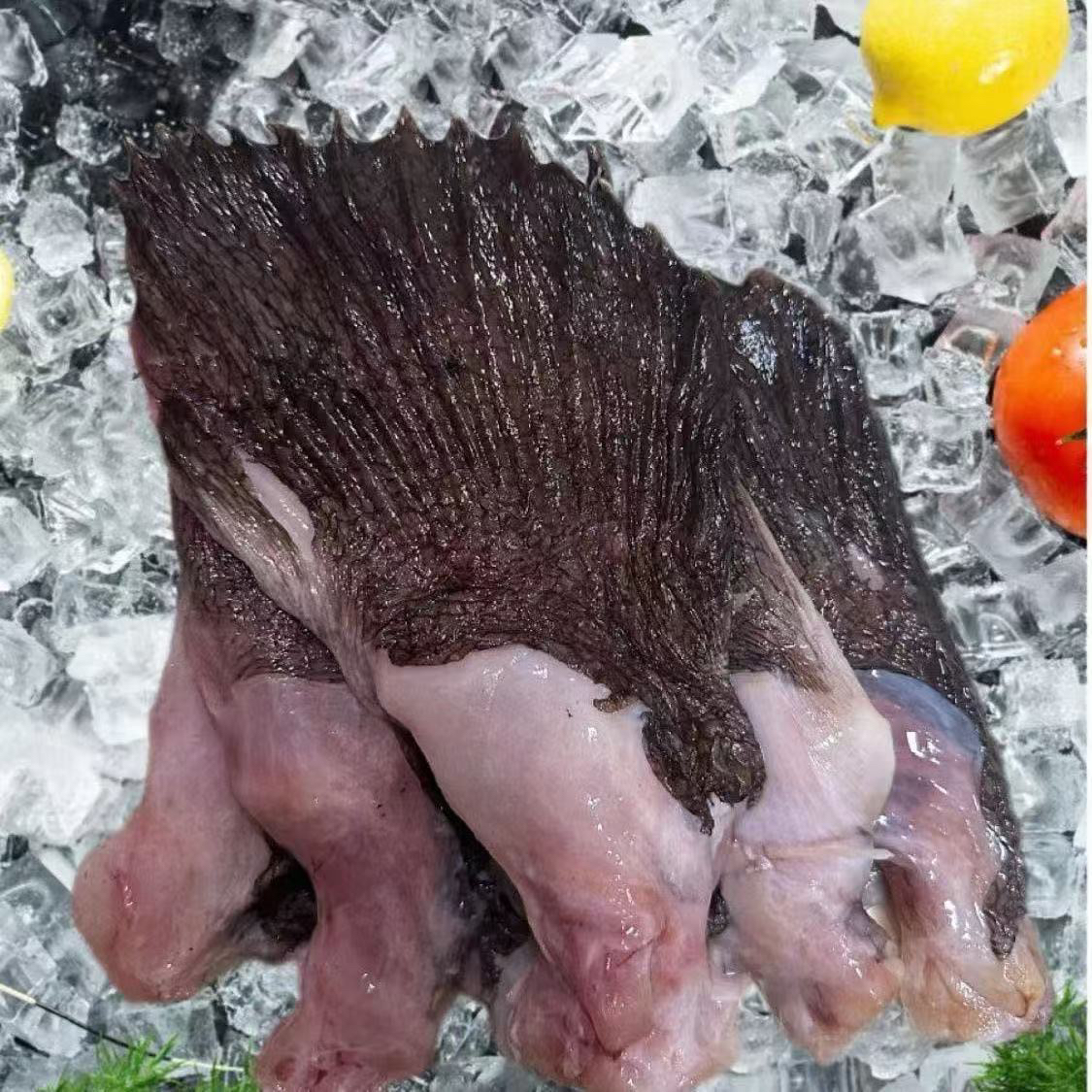深海安康鱼鳍新鲜速冻北方冷水翅顺丰包邮一包1.5斤