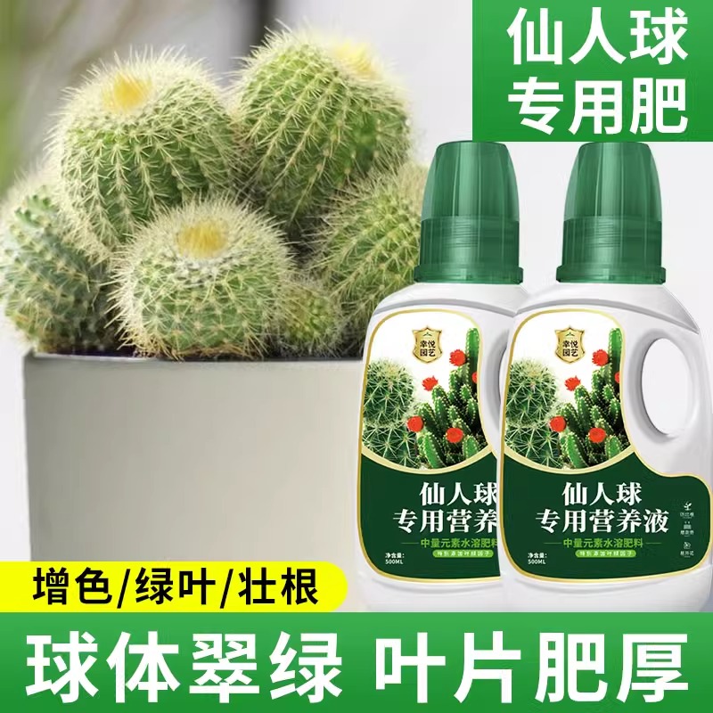 仙人球专用营养液浓缩型花肥仙人球专用肥料仙人掌量天尺仙人柱肥