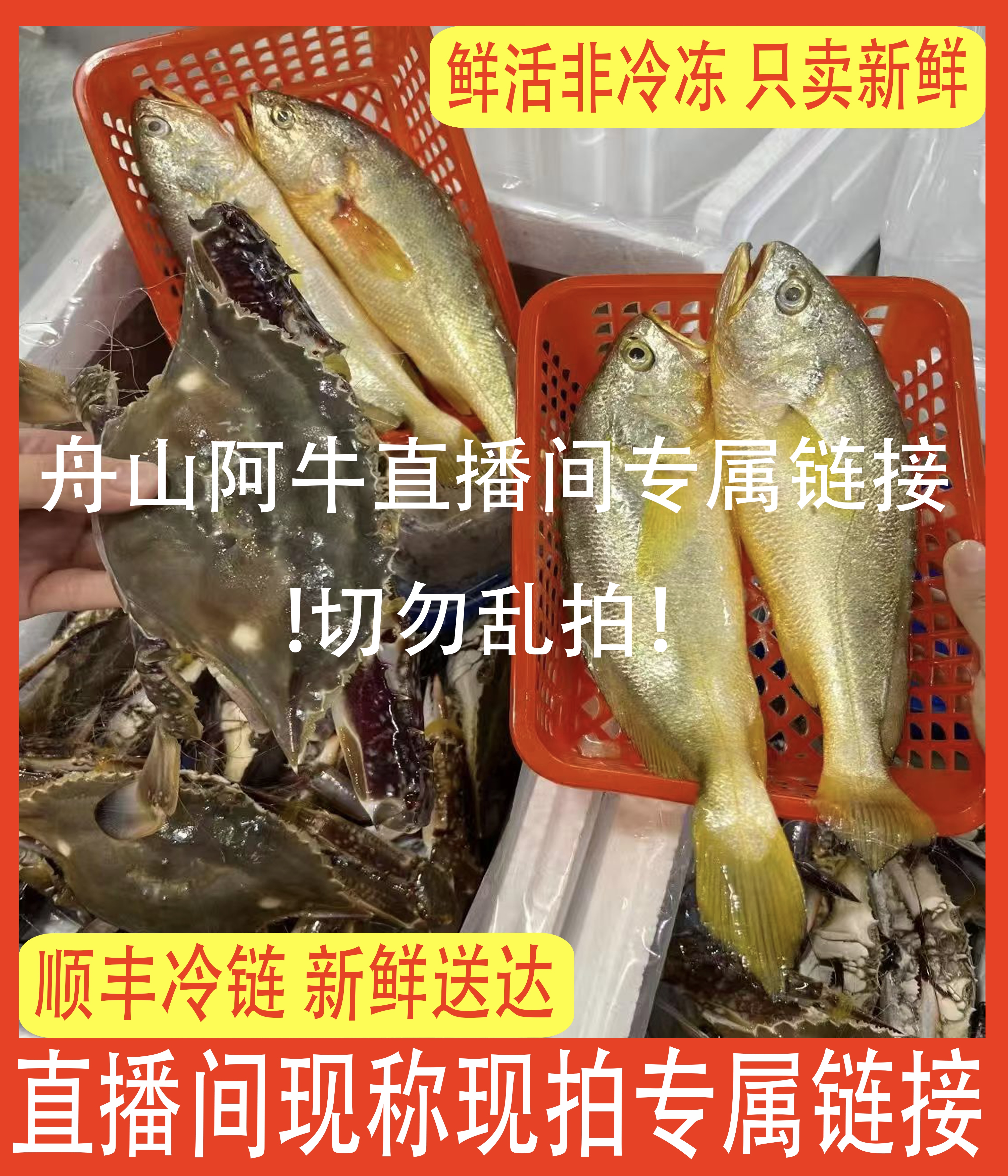 【直播间专属一号链接】舟山阿牛海鲜店新鲜直发非冷冻
