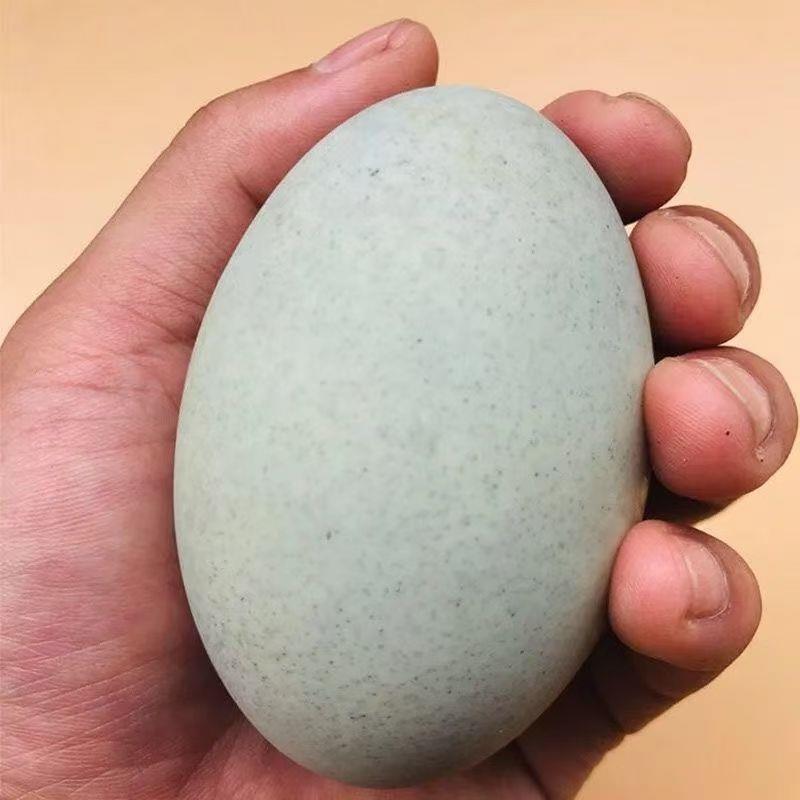 【松花皮蛋】鄱阳湖无铅工艺松花皮蛋大号60-70g共15枚溏心鸭皮蛋
