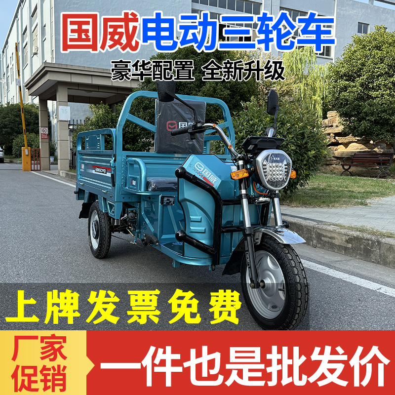 国威电动三轮车家用农用成人代步摆摊电动三轮车三轮电动车