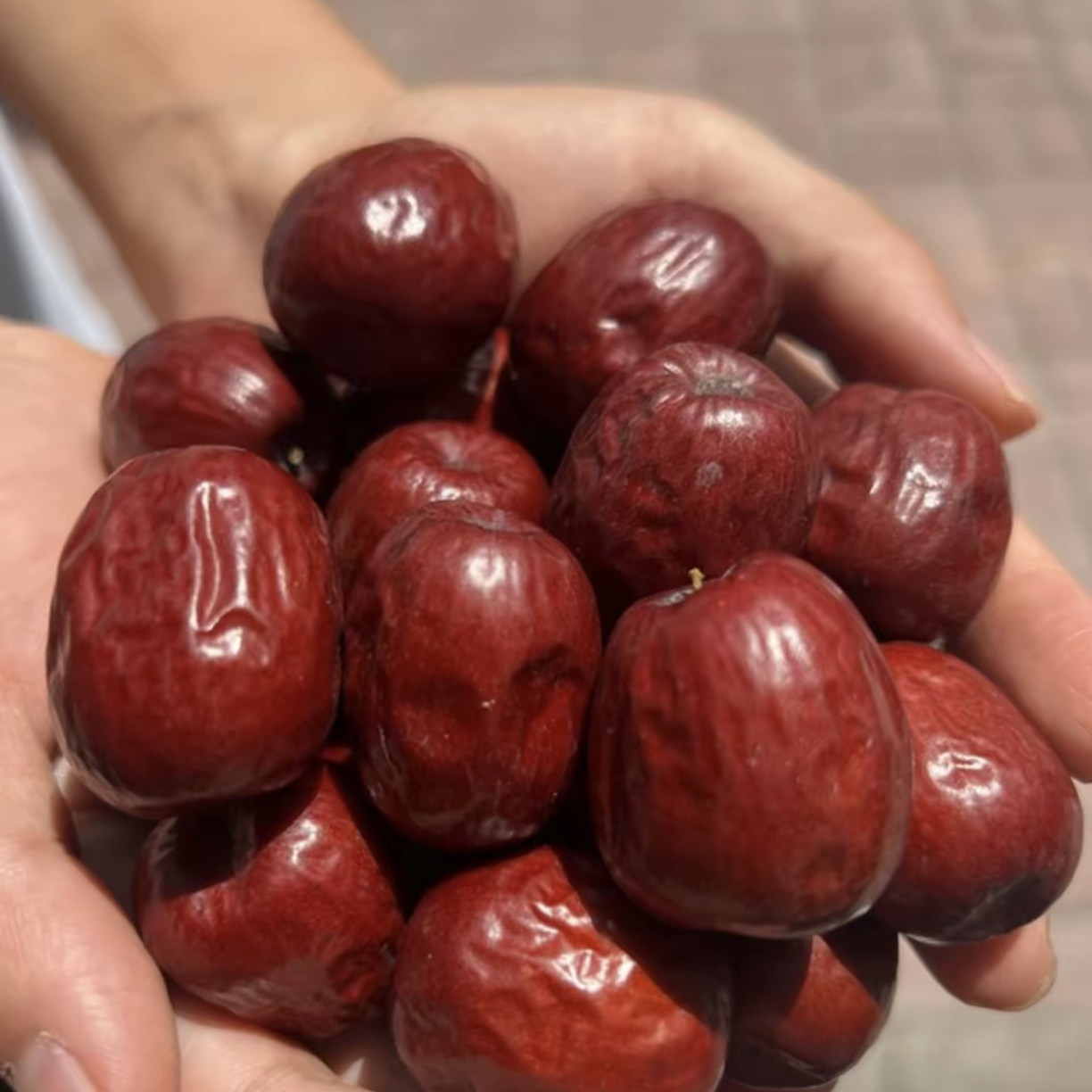 正宗山西稷山板枣特级红枣千年老树板枣原生态红枣礼盒应季水果