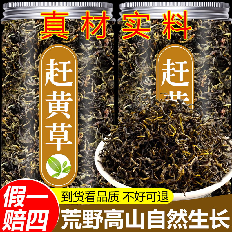 【保真】正宗赶黄草茶四川古蔺赶黄草杆叶花整株泡水泡茶喝非决明子