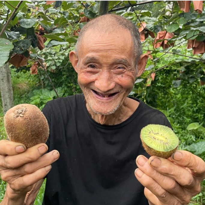 【爷爷家的野珍小猕桃】  新鲜当季水果奇异果