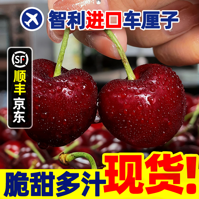 3JD【明天到】DS智利进口海运桑提娜车厘子宝宝水果内附果径卡800g