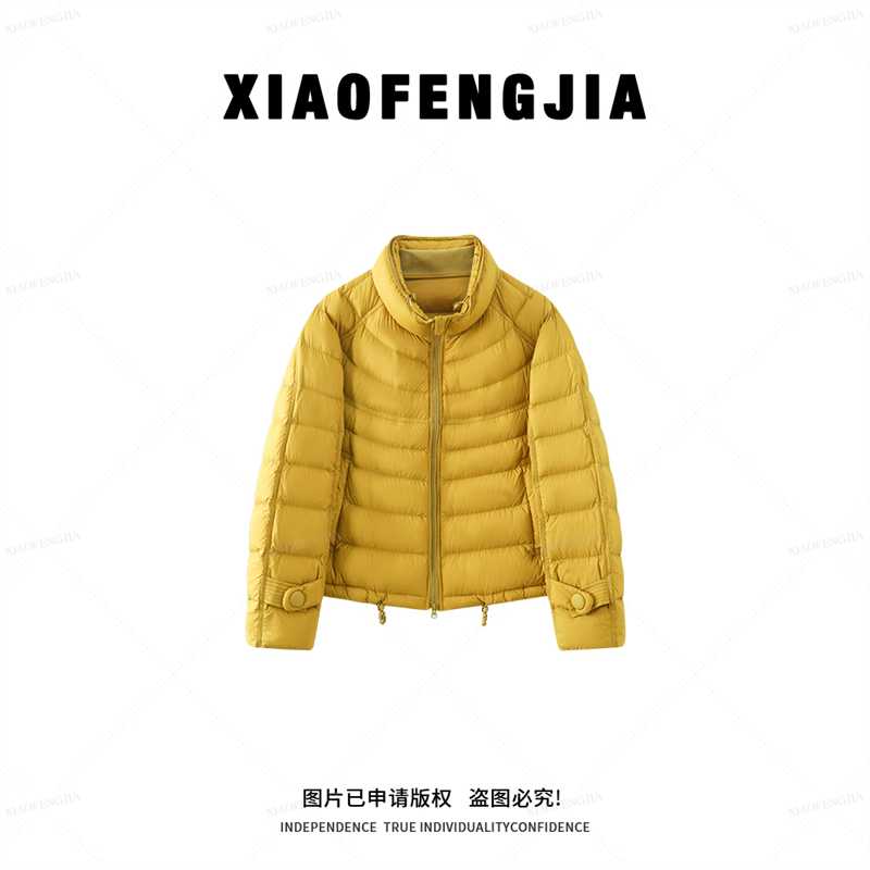 【90白鸭绒】2025冬季新款时尚韩版短款立领保暖羽绒2602