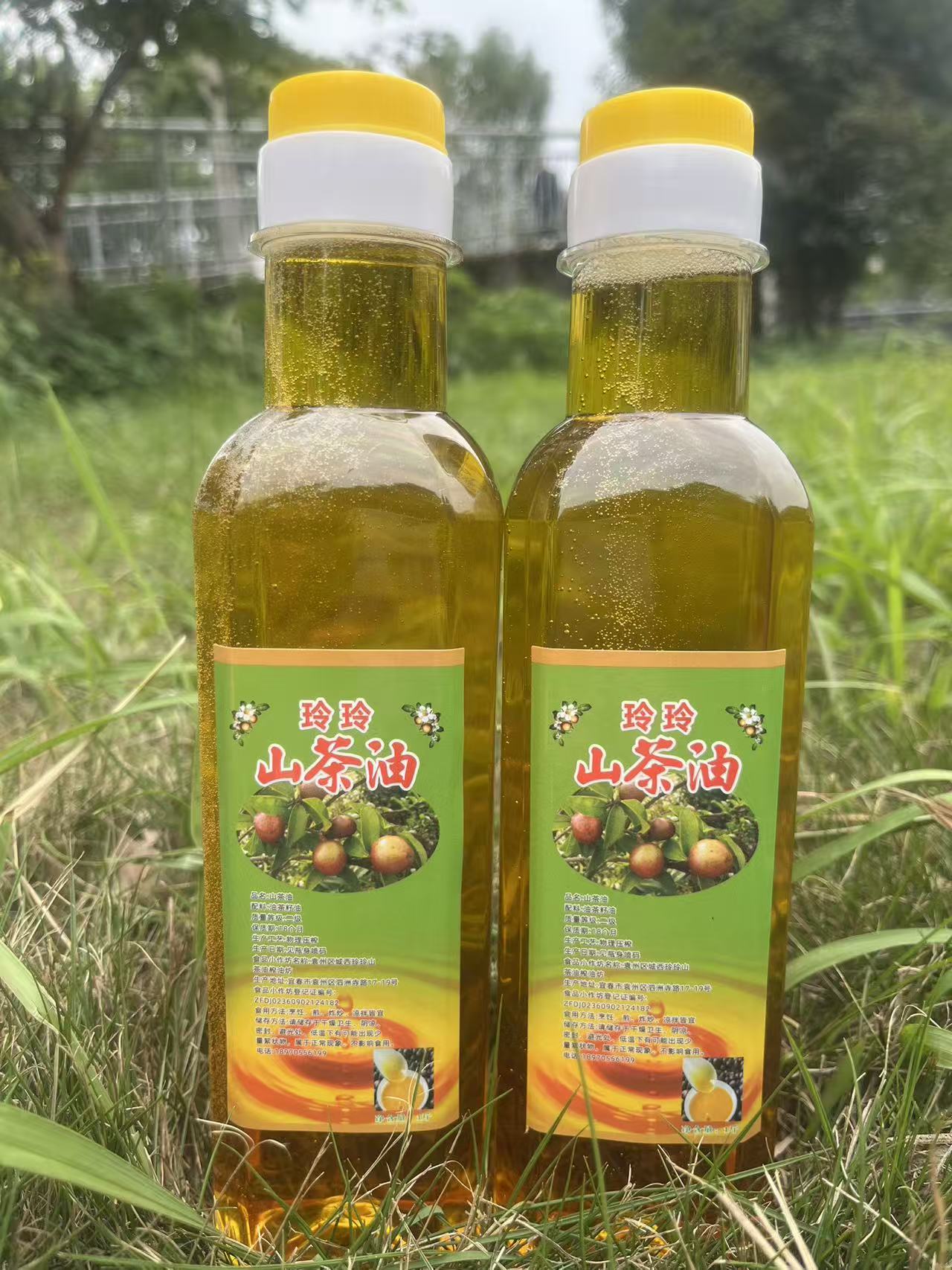 江西野生小籽山茶油生喝润肤凉拌蒸炒耐高温月子油500毫升山茶油