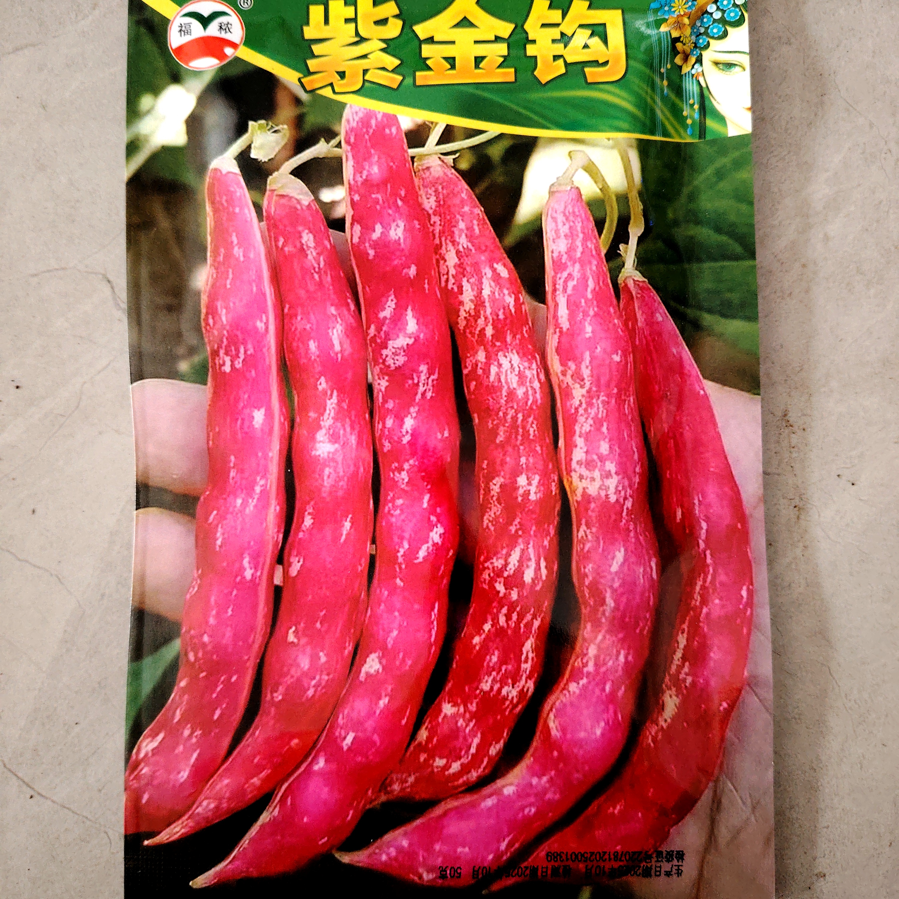 紫金钩豆角籽50克左右