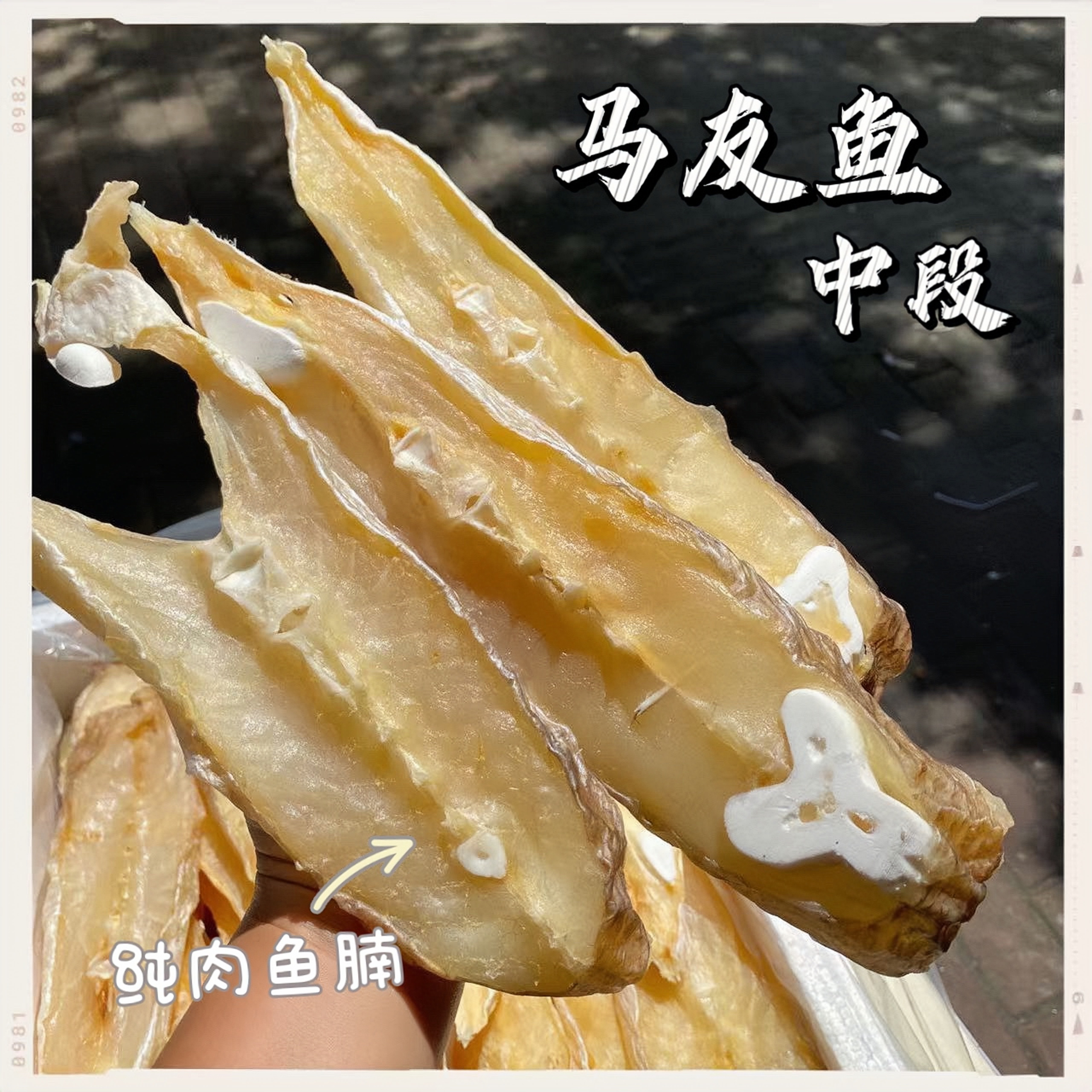 马友鱼干中段鱼腩大片精选无幼骨淡晒马鲛鱼咸鱼