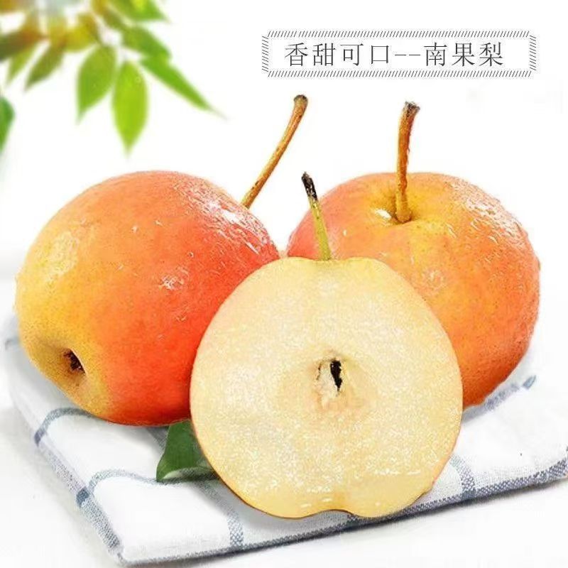【主播专属】精品薄皮红脸南果梨新鲜优质多汁辽宁鞍山特产爽口