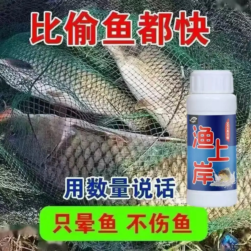 【2025晕鱼神器】强效醉鱼快速封氧大小通晕水产液捕捞不伤鱼MJA