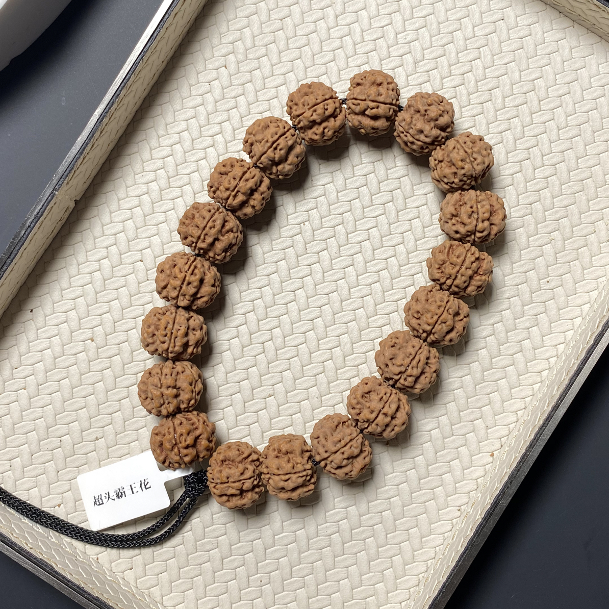 【超头霸王花】五瓣深沟高龙脊梅花小金刚无色差牛筋红质地瓷实