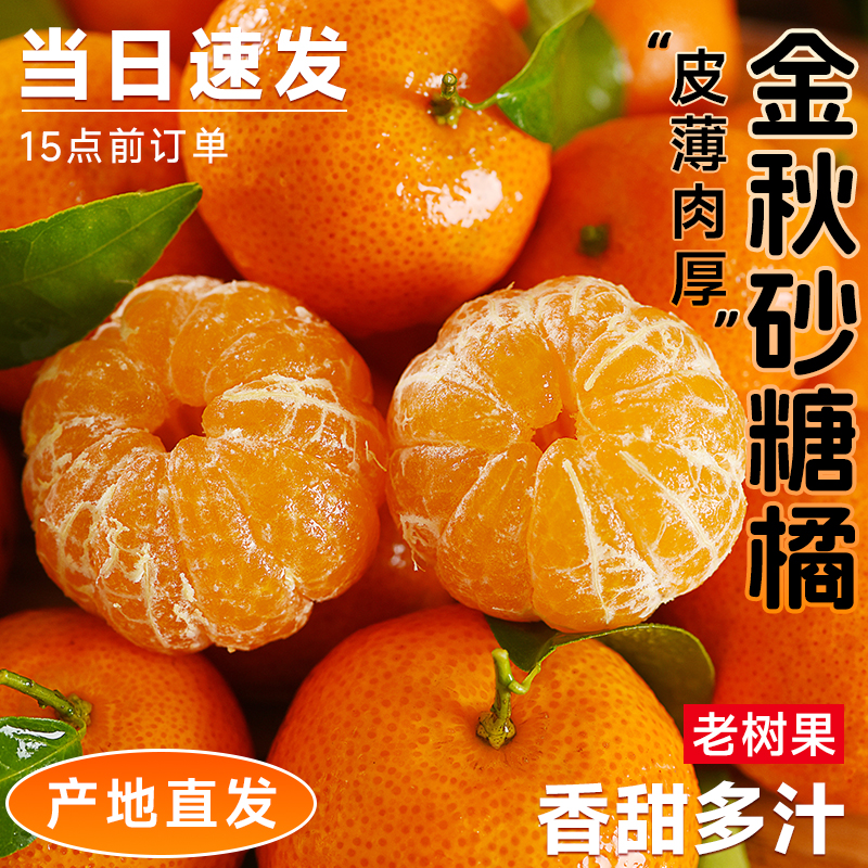 广西正宗砂糖橘桔当季新鲜现摘蜜桔金秋砂糖桔橘子整箱爆甜多汁