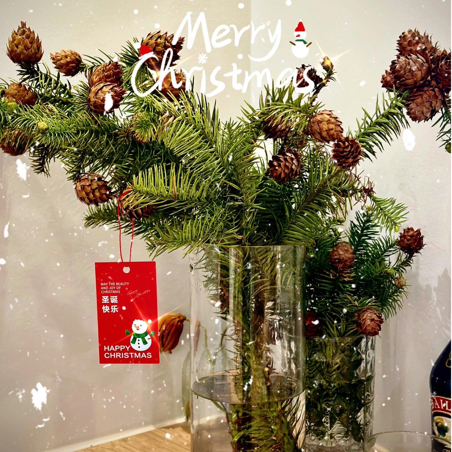 【圣诞礼】莲花松果鲜切支圣诞松枝天然摆件节日家居装饰客厅摆设