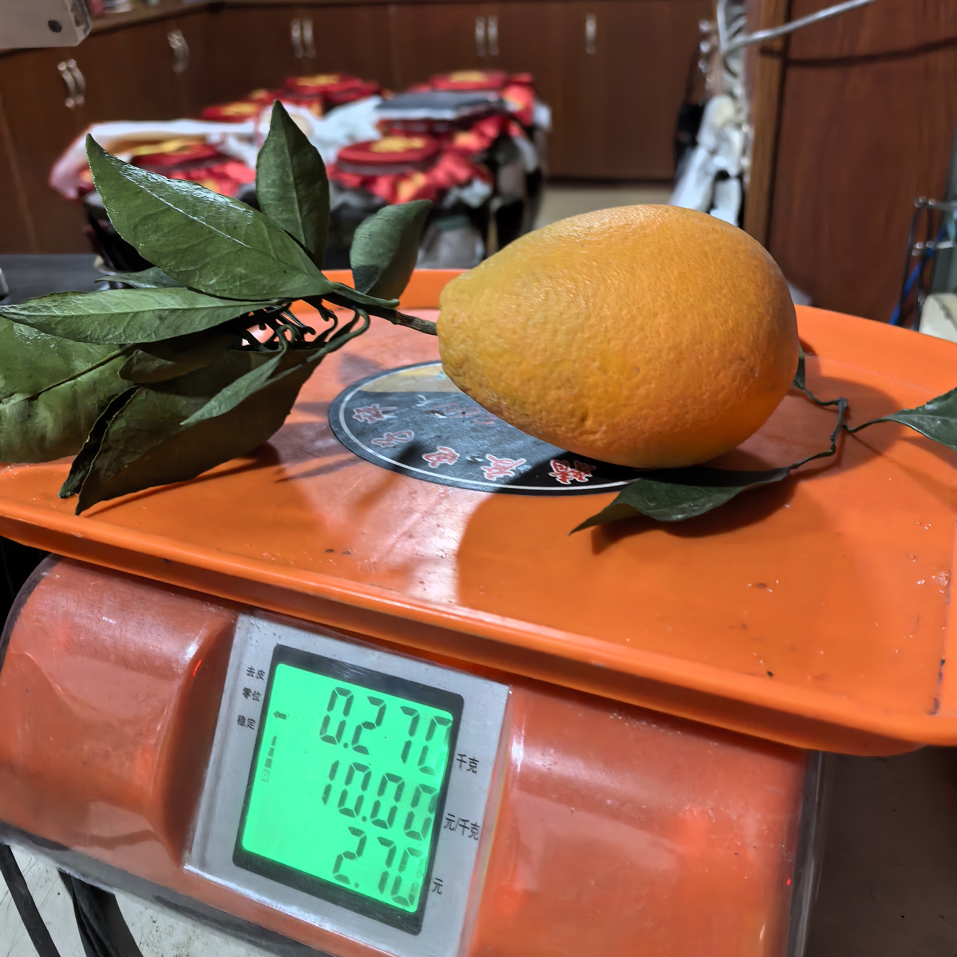 老家的   纽荷尔  熟了 当季现摘新鲜水果产地直发