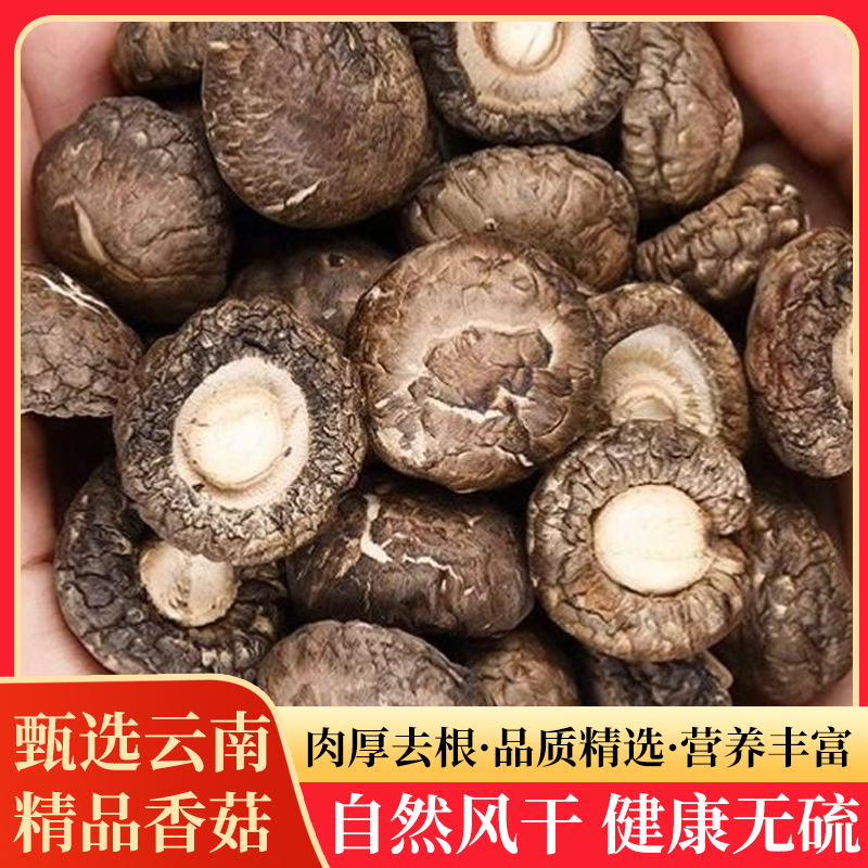 香菇蘑菇干货云南下山油面小香菇干香菇肉厚香味浓郁炖汤煲汤