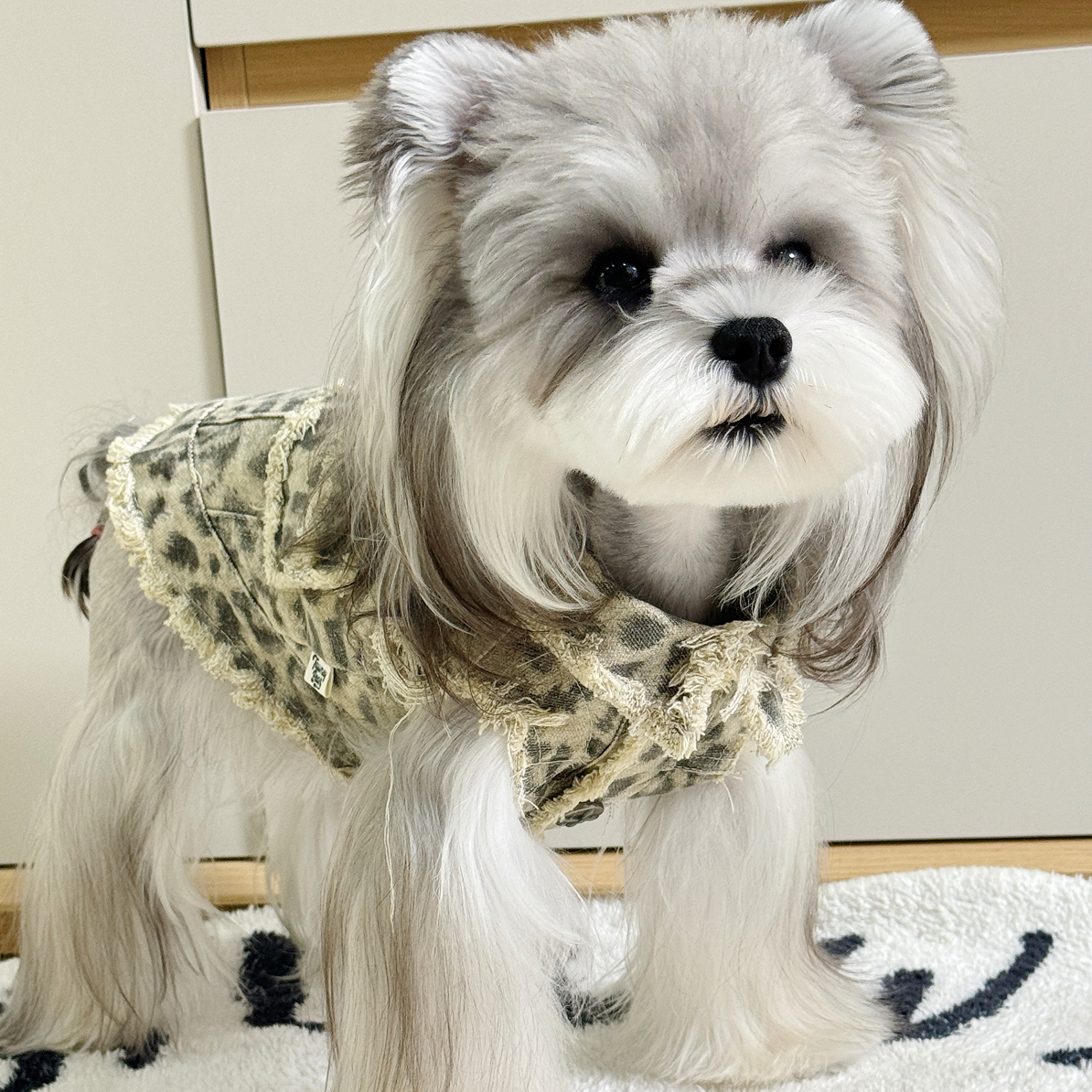 四季适用无袖牛仔宠物狗衬衫适合西高地柴犬金毛等幼犬