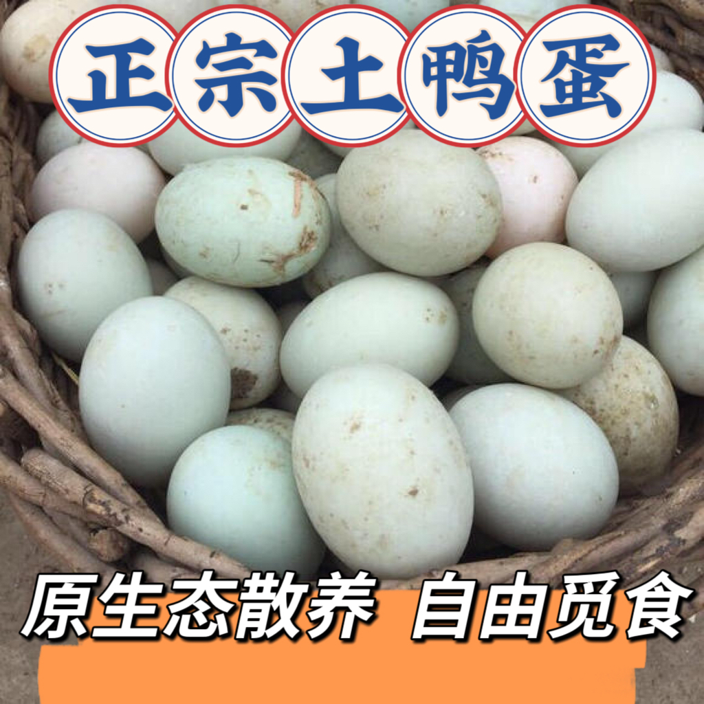 20枚 高营养正宗农村散养土鸭蛋 新鲜健康原生态 单枚60-65g