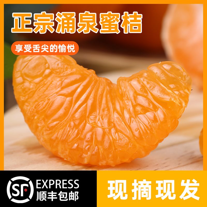 顺丰次日到【涌泉蜜桔】正宗浙江临海蜜桔新鲜橘子无籽桔子水果蜜桔