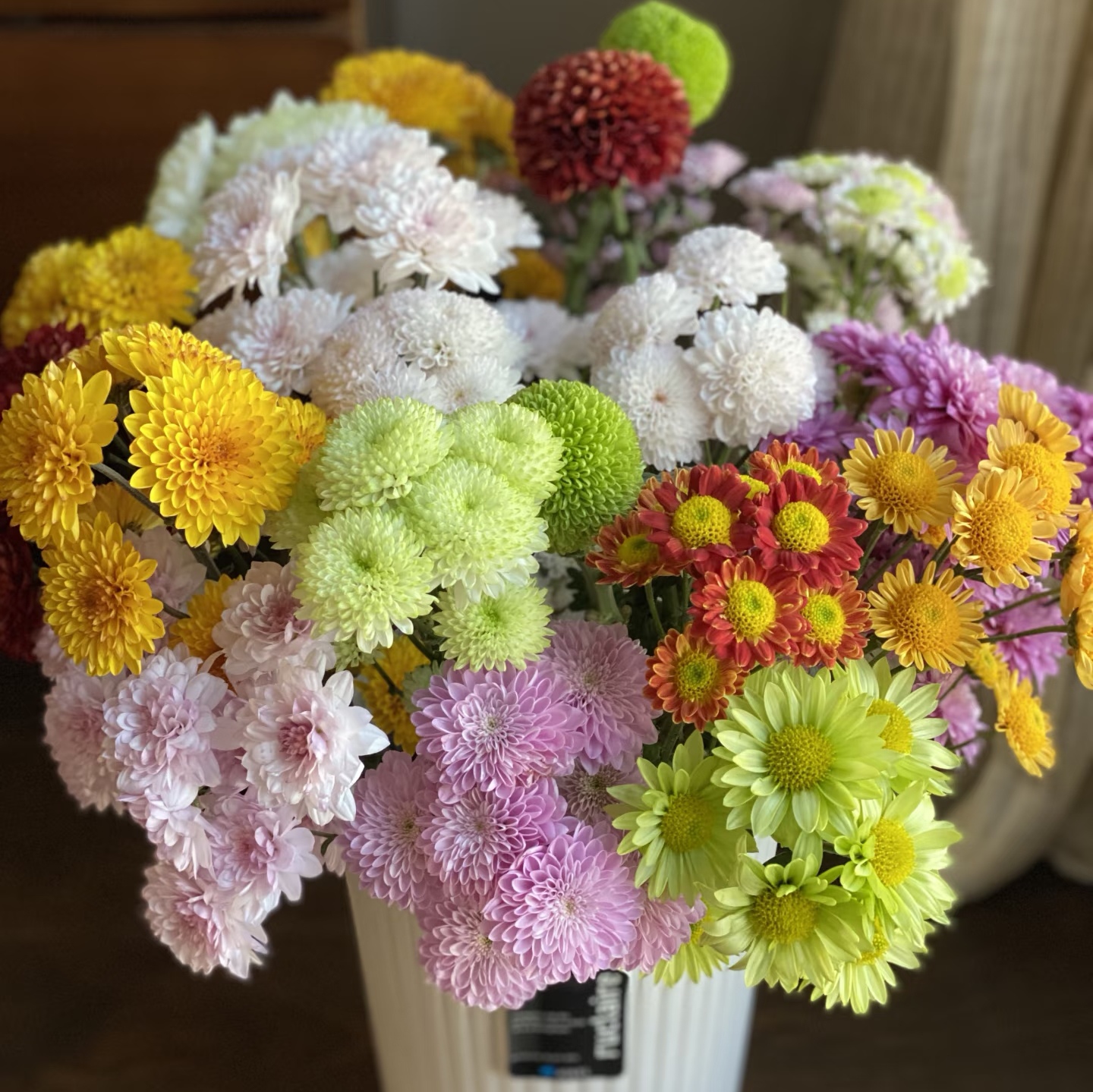 （混色小雏菊）基地直发小雏菊鲜花水养超长待机高质量