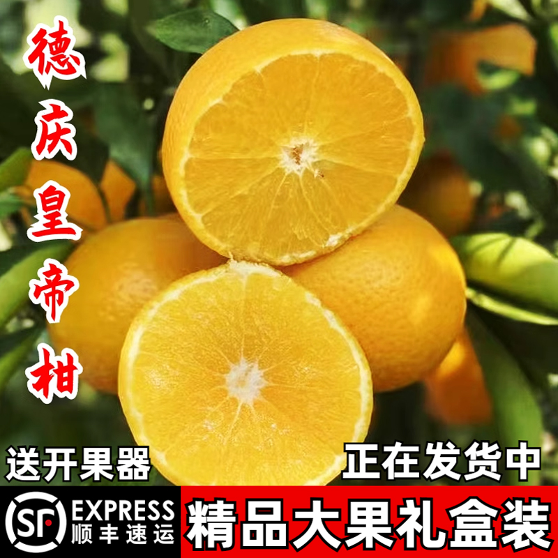 正宗德庆皇帝柑广东贡柑橘桔子孕妇当季新鲜水果整箱5斤/10斤包邮