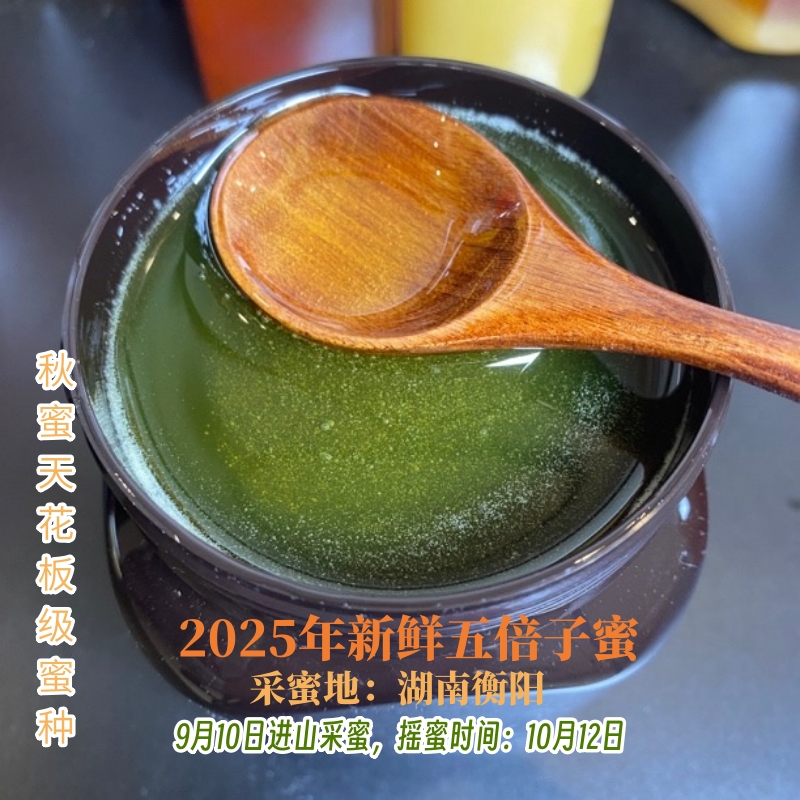 1000g秋蜜五倍子稀有2025第8个蜜源采至衡阳山区蜂场自产销0喂养