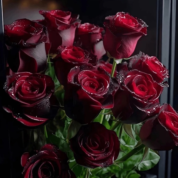 【香水玫瑰买5送1】玫瑰花苗月季大花浓香花卉盆栽室内阳台好养活