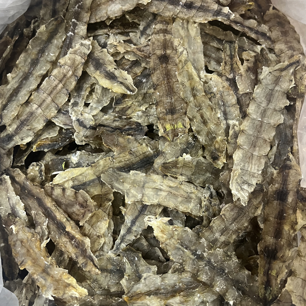 广东汕尾港本港浅海虾姑脯濑尿虾虾姑心