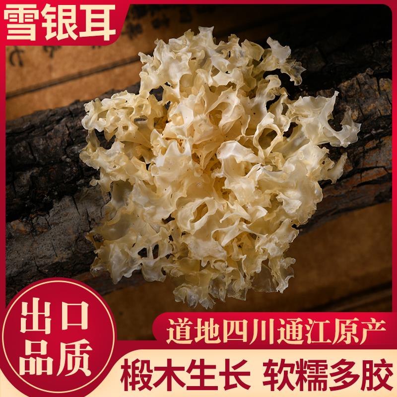 通江银耳雪耳四川椴木儿童孕妇干货无硫白木耳莲子羹糯耳
