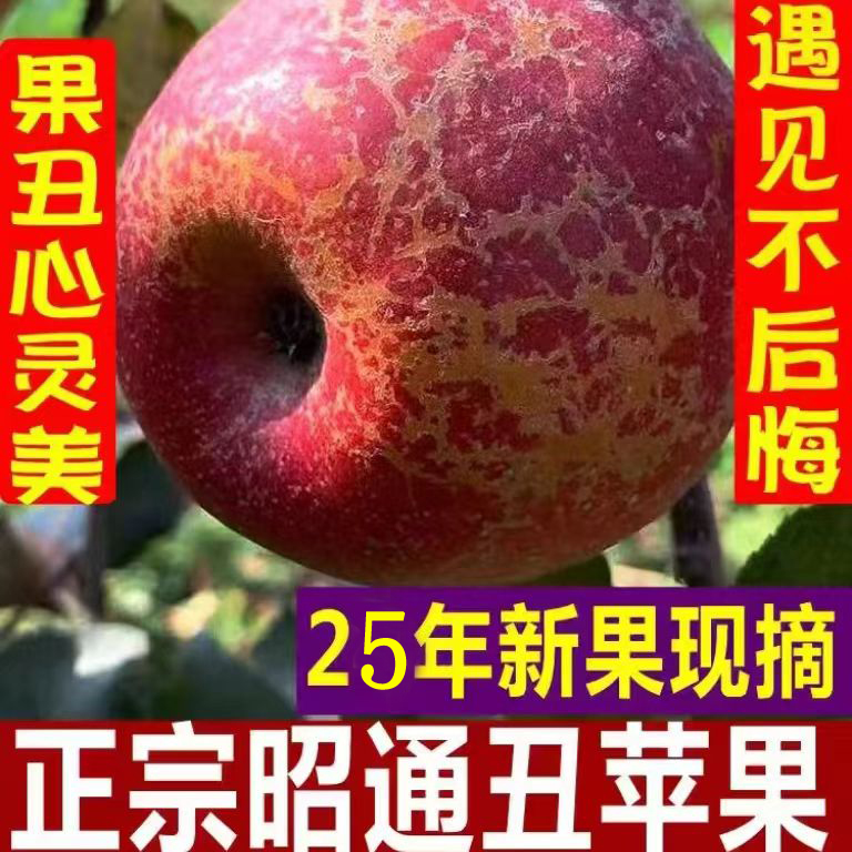 云南昭通冰糖心丑苹果现摘当季水果脆甜多汁果肉细腻整箱包邮特产