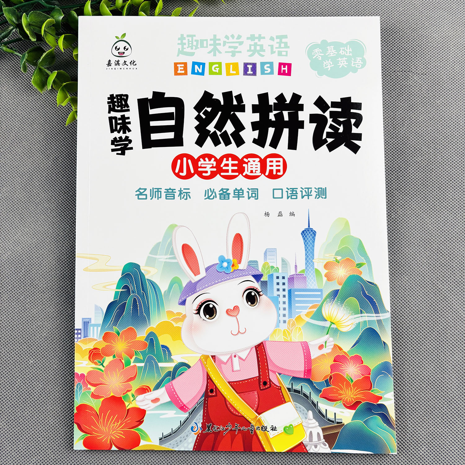 小学英语自然拼读一本通小学英语入门单词速记手册小学英语音标