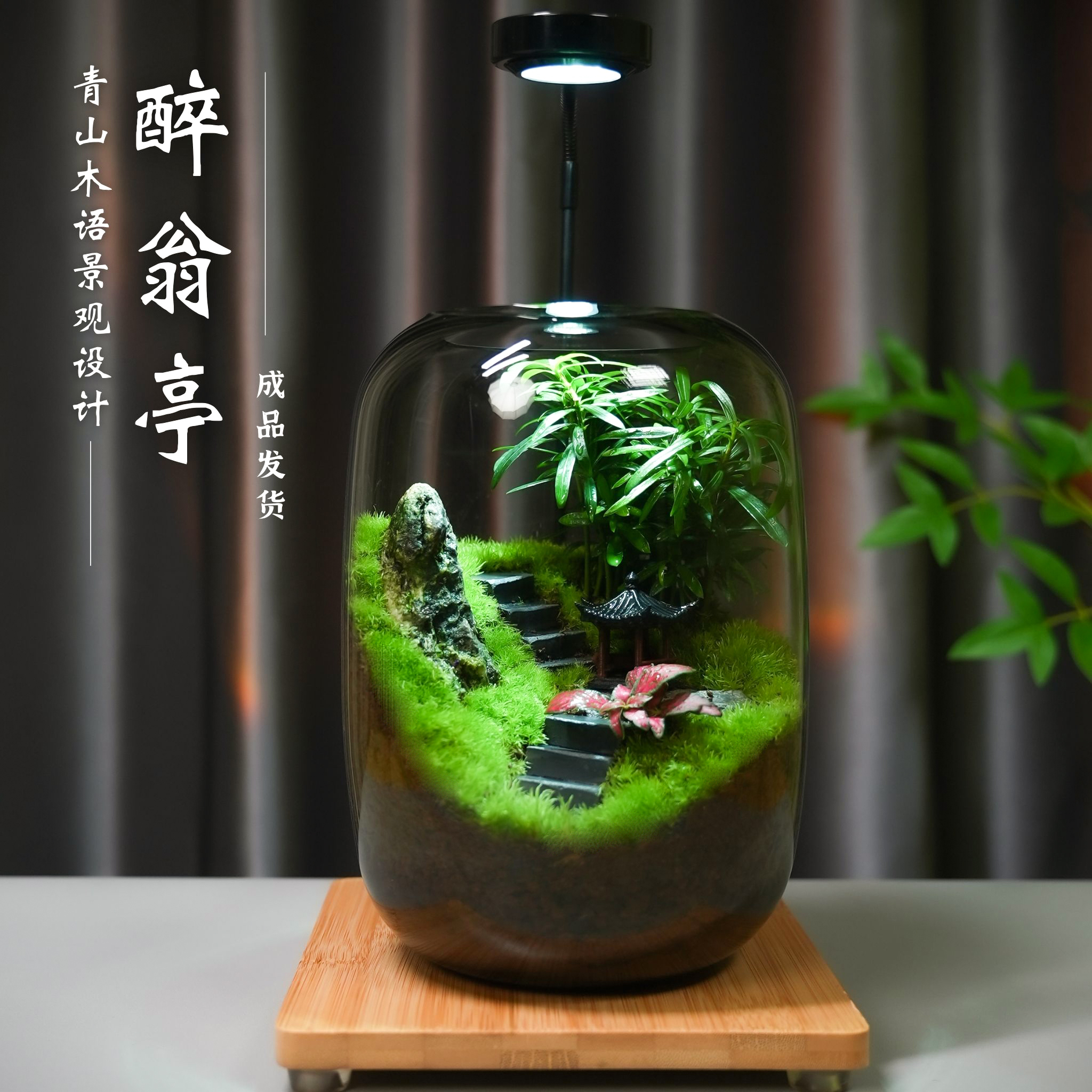 青山木语【醉翁亭】创意苔藓微景观桌面办公绿植造景生态瓶礼品摆件