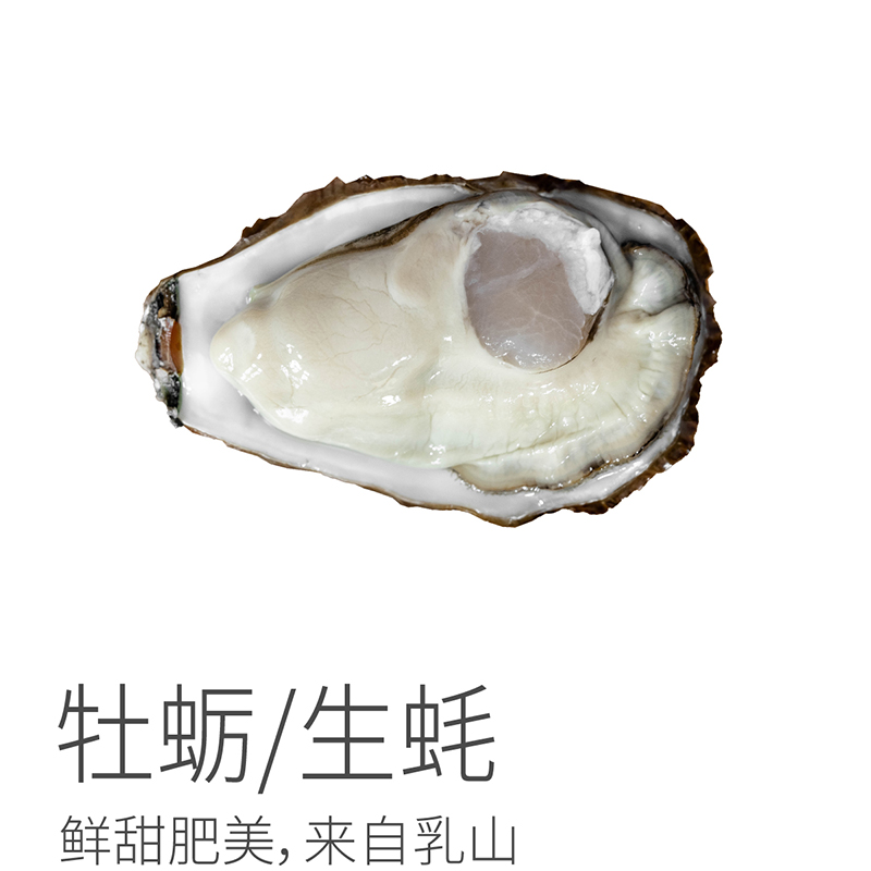 乳山生蚝 山东威海 鲜活生蚝/牡蛎 5斤装 鲜甜肥美 冷藏保存 顺丰