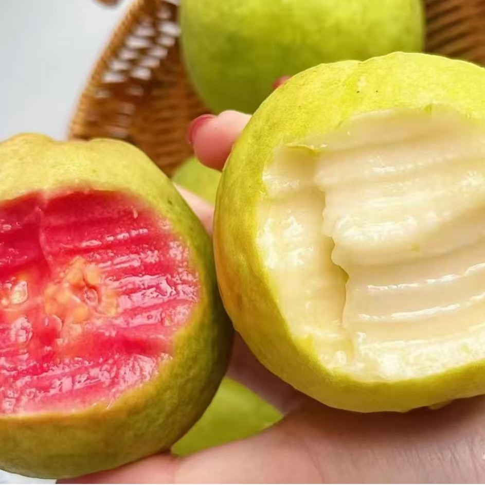【软糯香甜】正宗广西红心番石榴新鲜水果香软芭乐软糯鸡屎果包邮