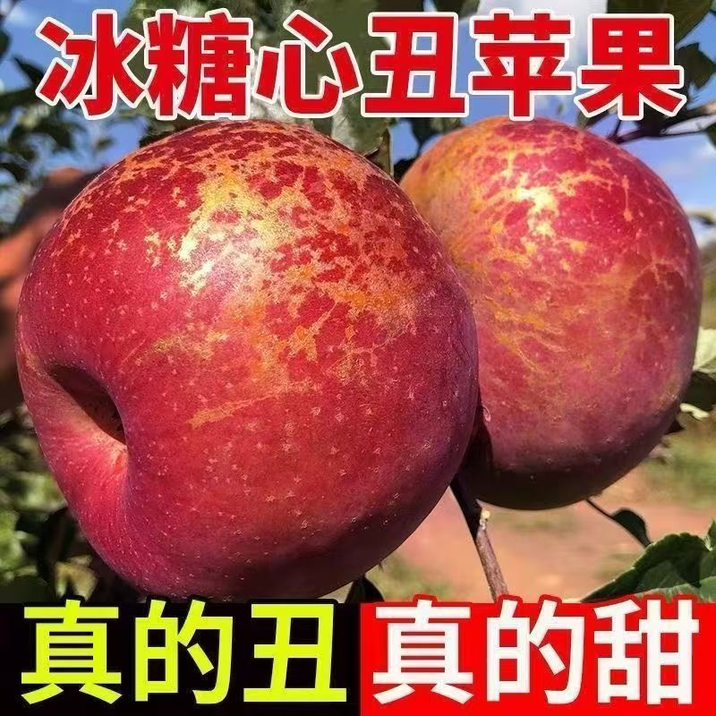 云南昭通晚熟红富士冰糖心丑苹果现摘当季新鲜脆甜多汁5斤9斤包邮