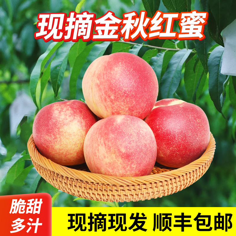【顺丰】正宗山东蒙阴金秋红蜜桃新鲜现摘水果脆甜多汁产地直发2