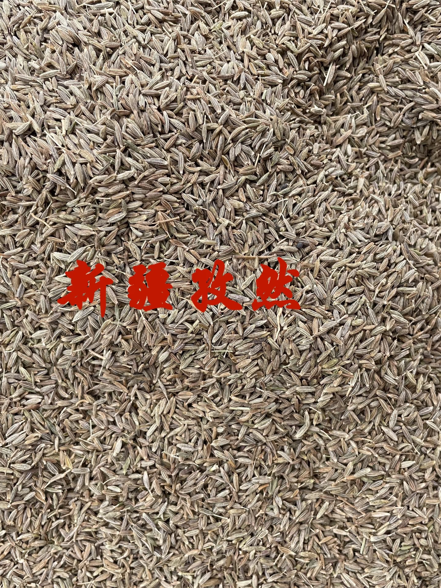 新疆纯调味粒烤肉烧烤调料撒料商用孜然粗细粉包邮可打粉孜然粉